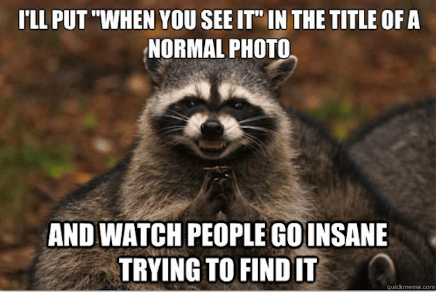 evil raccoon meme 5 (1)