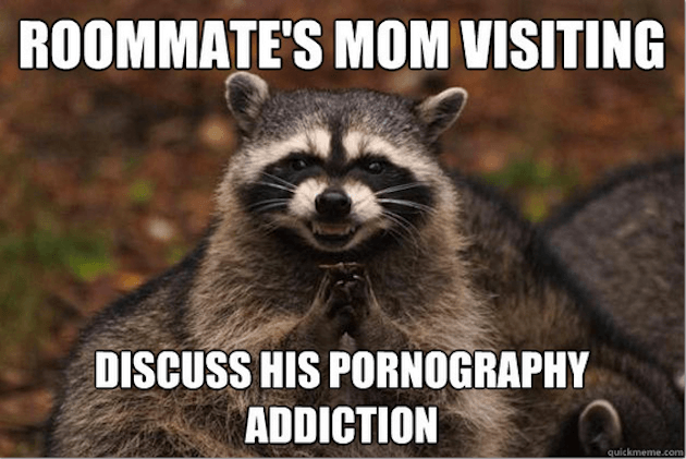 evil raccoon meme 8 (1)