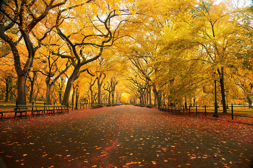 11 Spectacular Fall Images That Will Remind You How Beautiful This ...