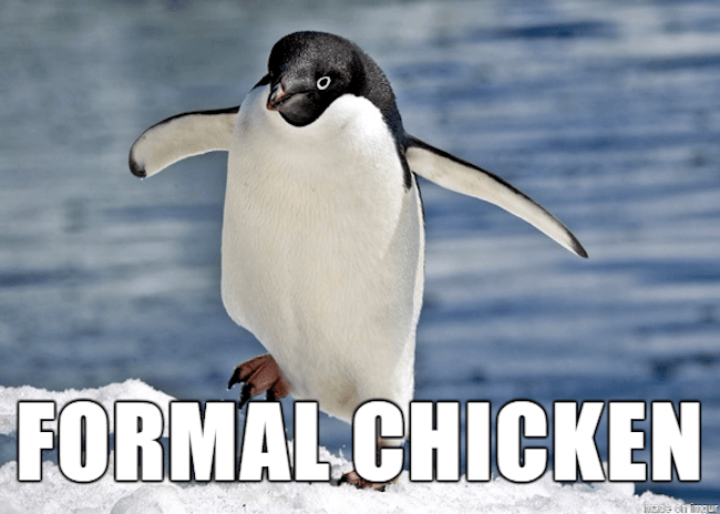 stupid animal names 14