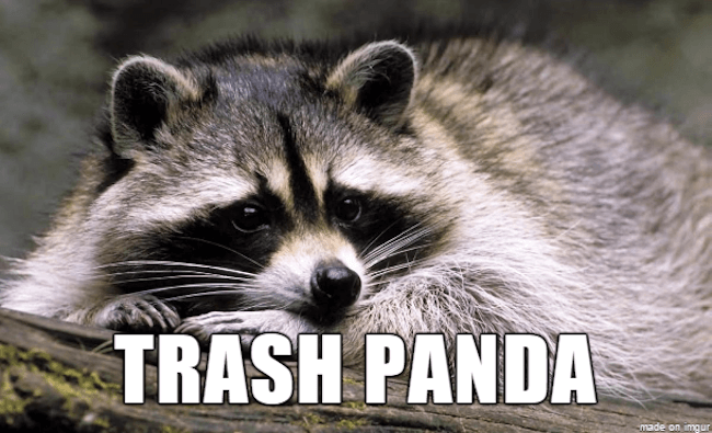 39 Funny Animal Names That Are So Much Better Than The Originals