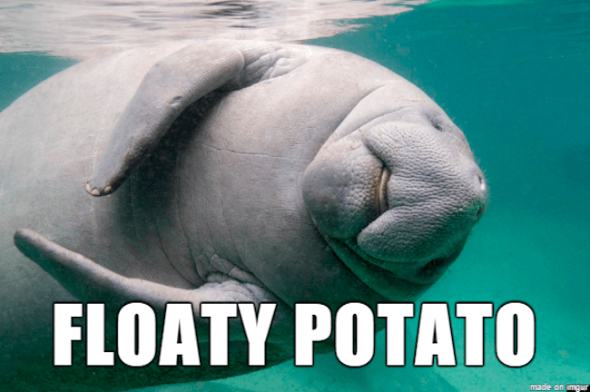 39 Funny Animal Names That Are So Much Better Than The Originals