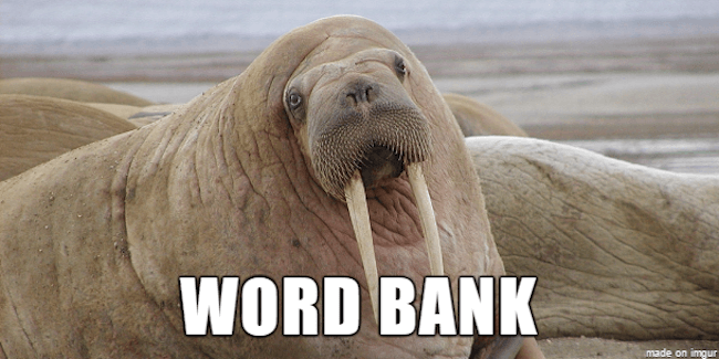 39 Funny Animal Names That Are So Much Better Than The Originals