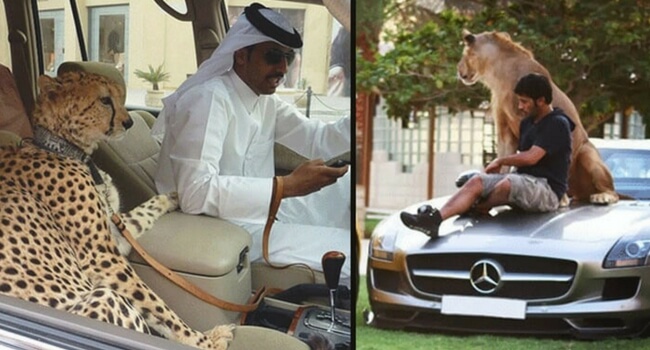 34 Only In Dubai Things You Won't See Anywhere Else