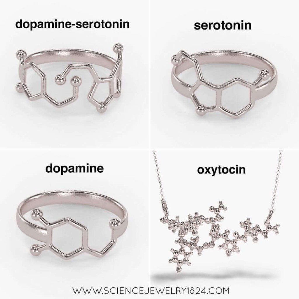 Science Inspired Jewelry Are The Beautiful Creations Of Somersault1824