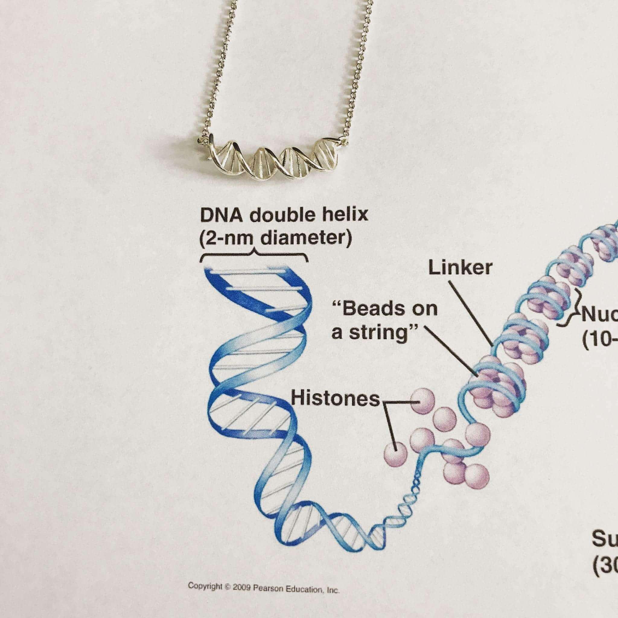 science jewelry 17 (1)