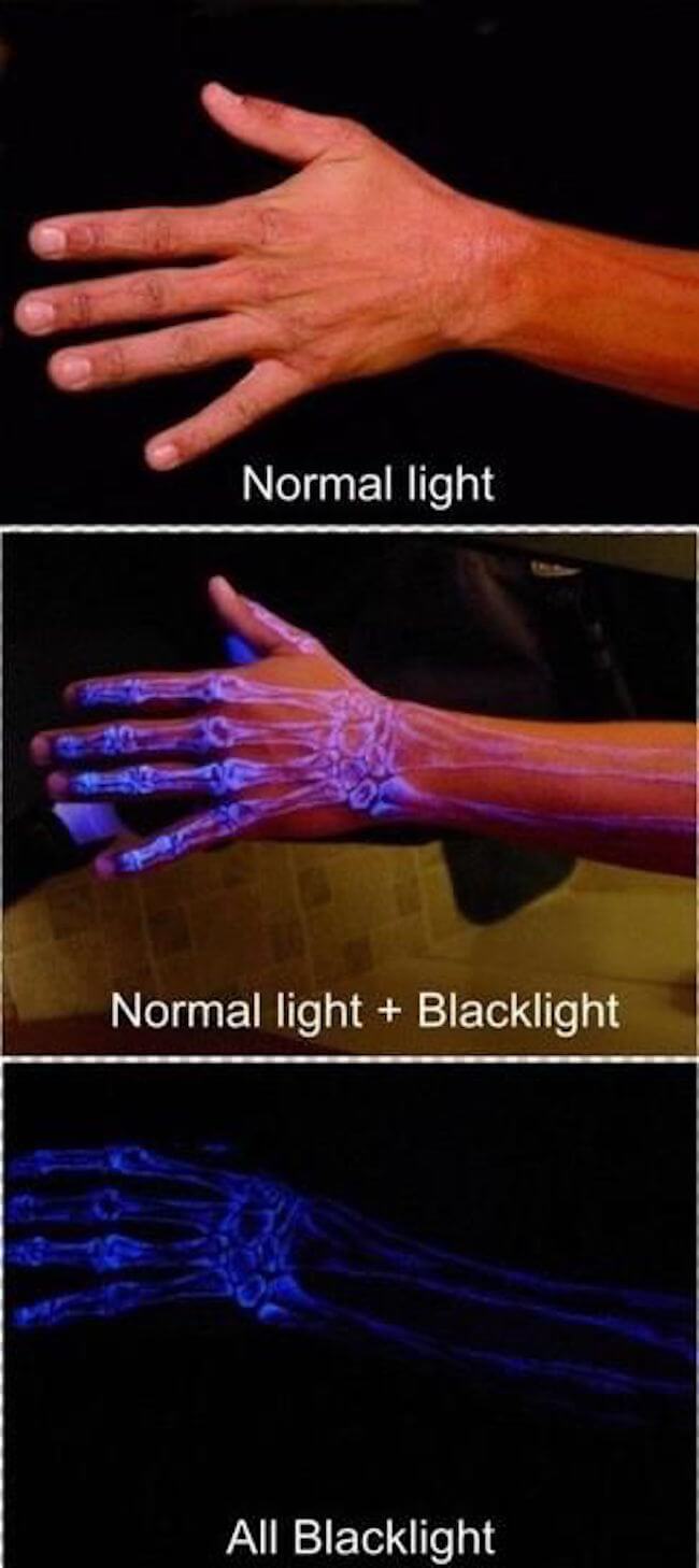 List of Things That Glow Under Black Light