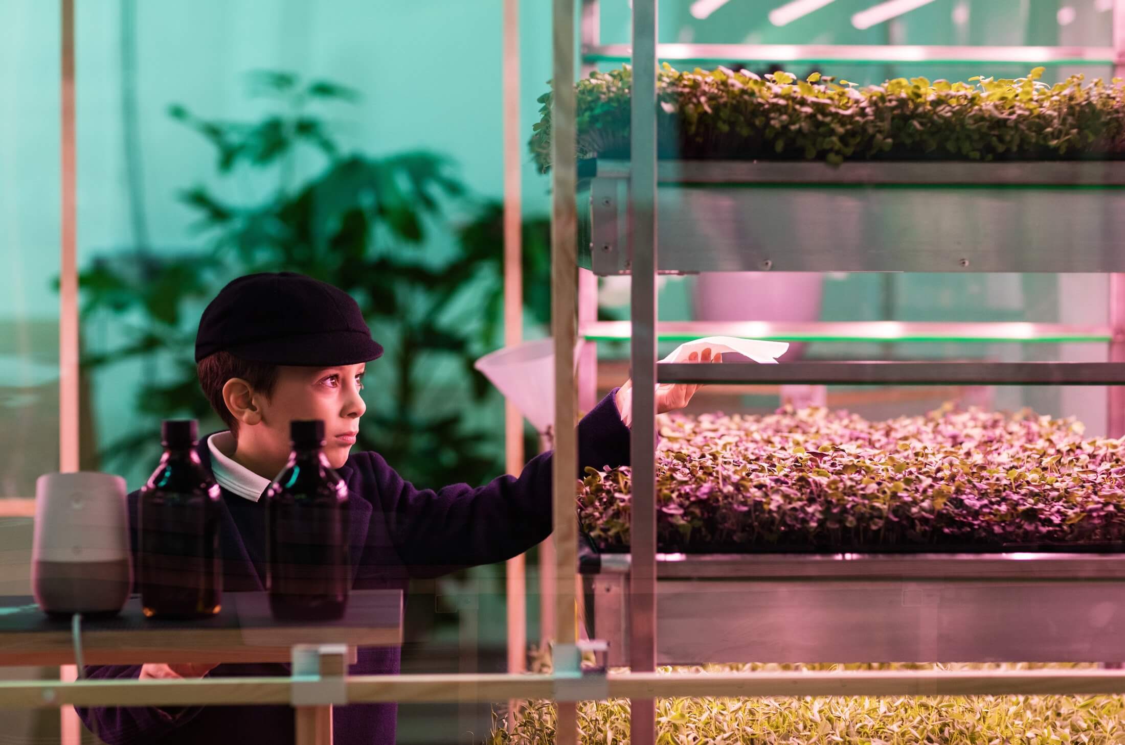 Ikea indoor farm grows greens 3 times faster as a garden (1)