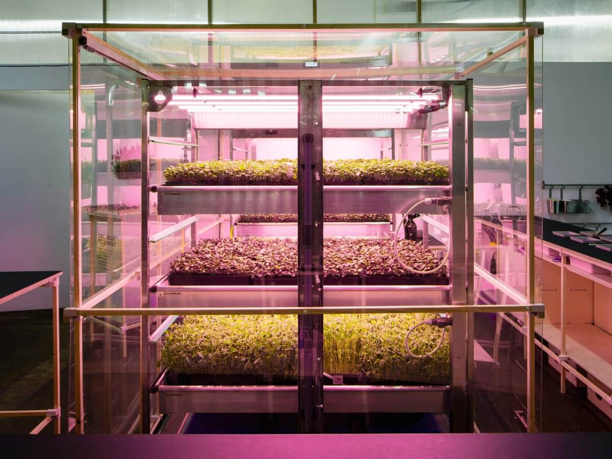 Ikea indoor farm grows greens 3 times faster as a garden 2 (1)