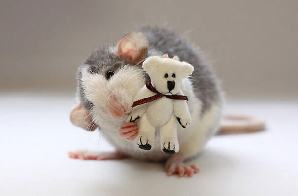 Rats With Teddy Bears ellen van deelen jessica florence 15 (1)