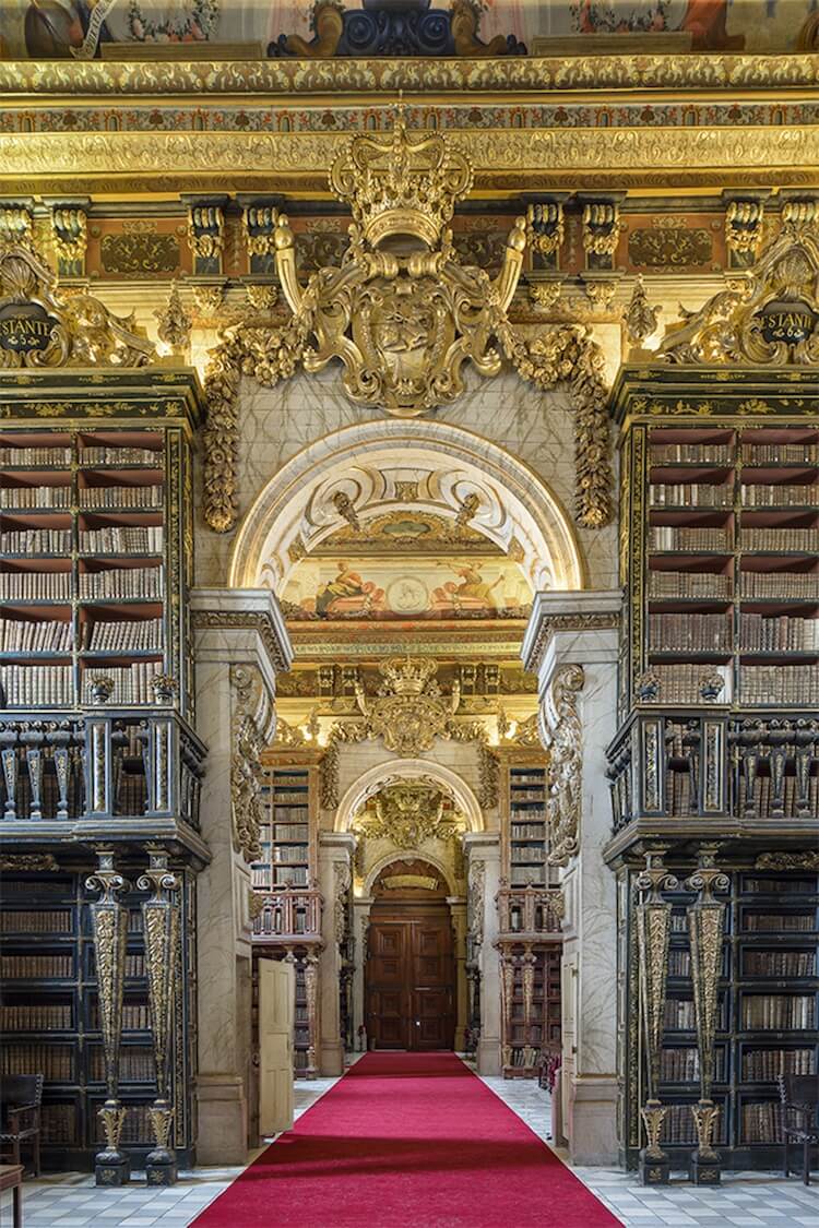 beautiful libraries 7 (1)