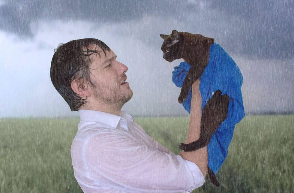 cat and human recreate famous movie scenes 1 (1)