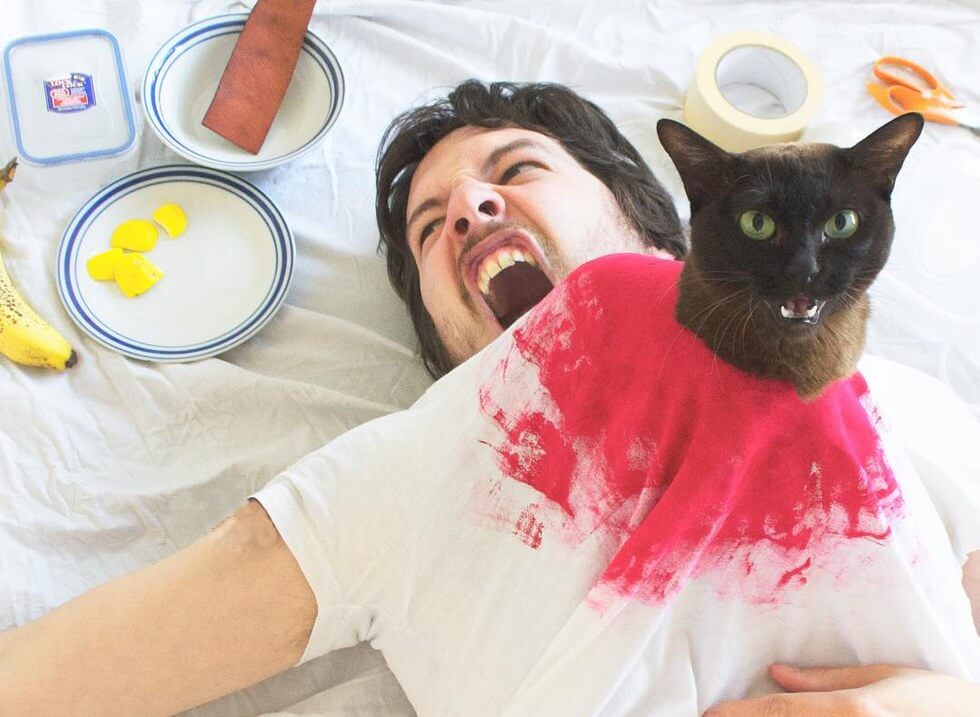 cat and human recreate famous movie scenes 10 (1)