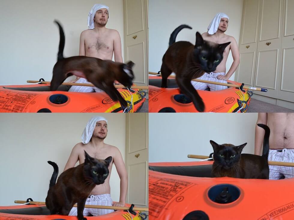 cat and human recreate famous movie scenes 12 (1)