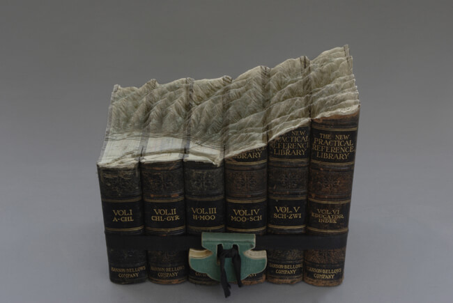 guy laramee carved books 8 (1)