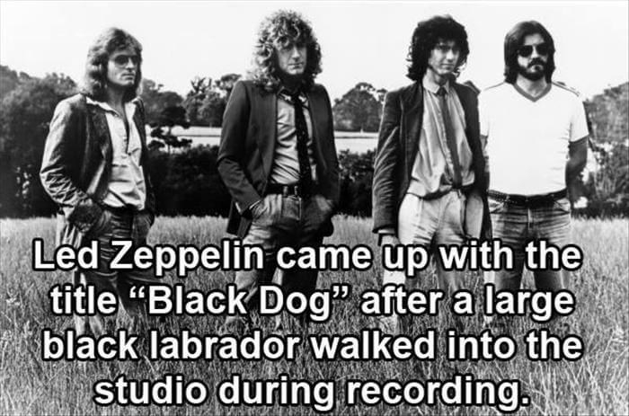 rock and roll facts 3 (1)