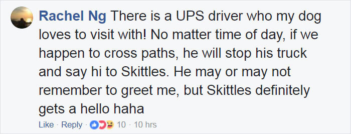 ups driver dog meeting group 27 (1)