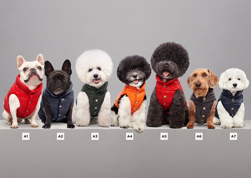 Luxury Puffer Jackets for Dogs by Moncler 1 (1)