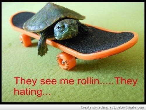 29 Hilarious Turtle Memes That Are So Funny They're Actually Dangerous