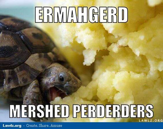 29 Hilarious Turtle Memes That Are So Funny They're ...