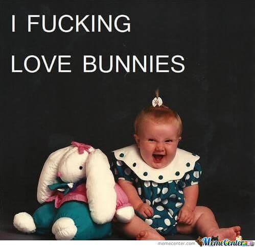 bunnies memes 21 (1)