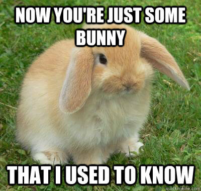 26 Bunny Memes That Are Way Too Cute For Your Screen