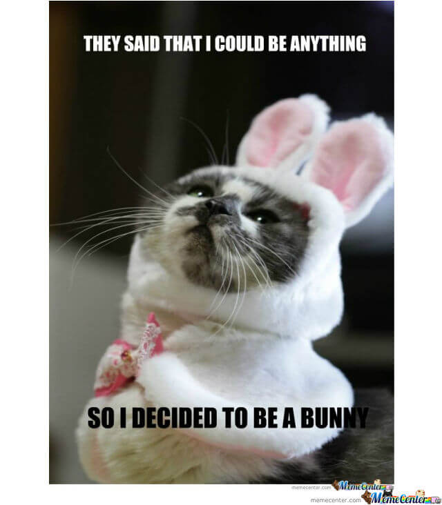 bunny memes 26 (1)