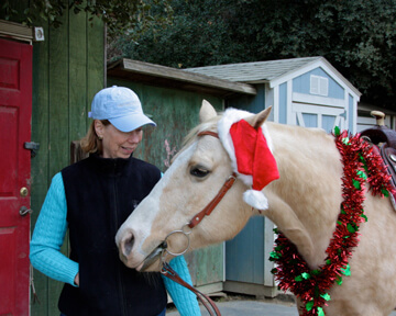 holiday horses 15 (1)