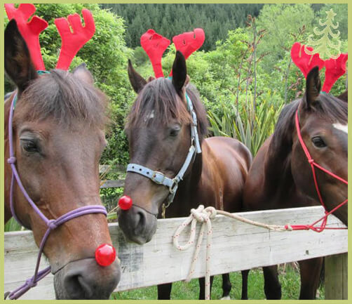 christmas horses 18 (1)