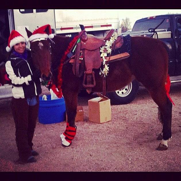 christmas decorated horses 4 (1)