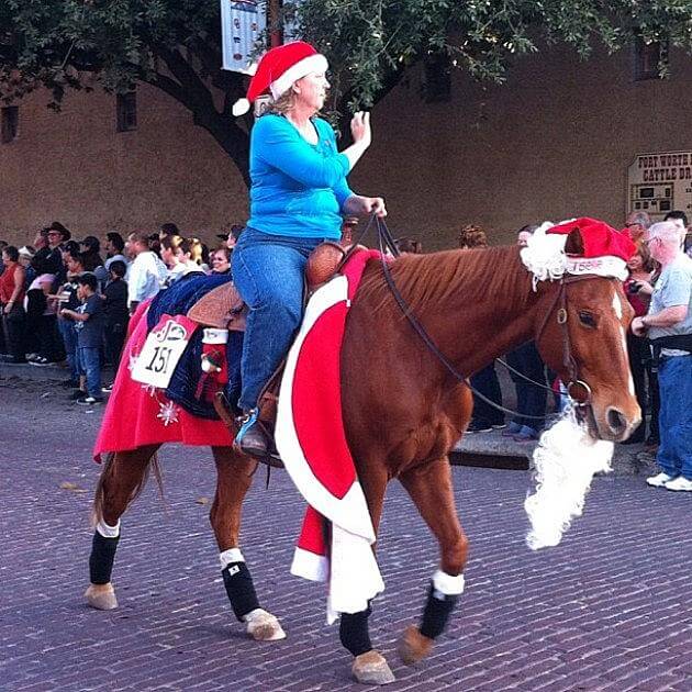 christmas decorated horses 5 (1)