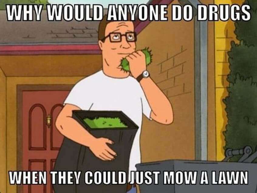 king of the hill memes 2 (1)