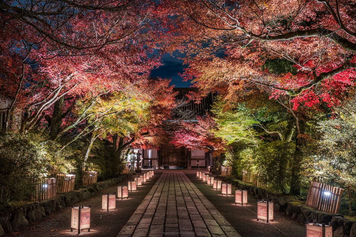 Magical Kyoto In Fall Photos By Talented Photographer Takahiro Bessho