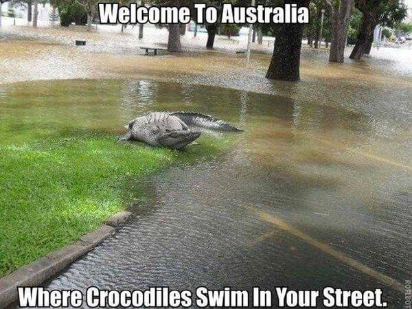 reasons not to visit australia 2 (1)