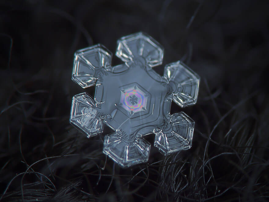 alexey kljatov snowflakes photography 12 (1)