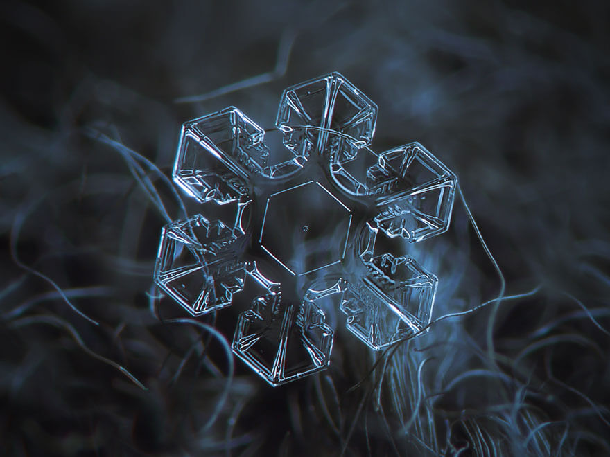 snowflakes macro photography 2 (1)