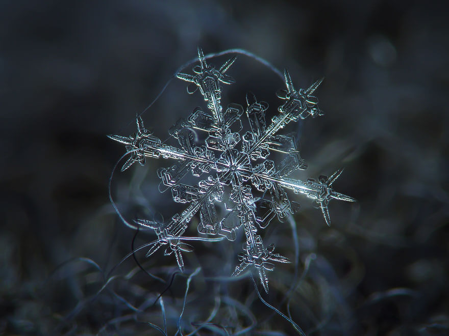 snowflakes photography 3 (1)