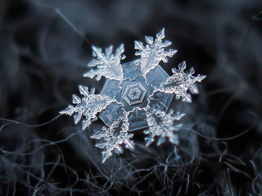 snowflakes photography 5 (1)