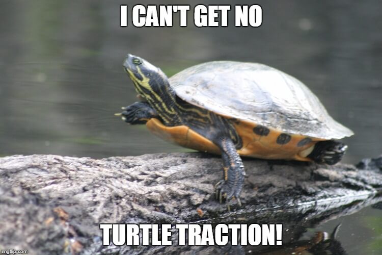 29 Hilarious Turtle Memes That Are So Funny They're Actually Dangerous