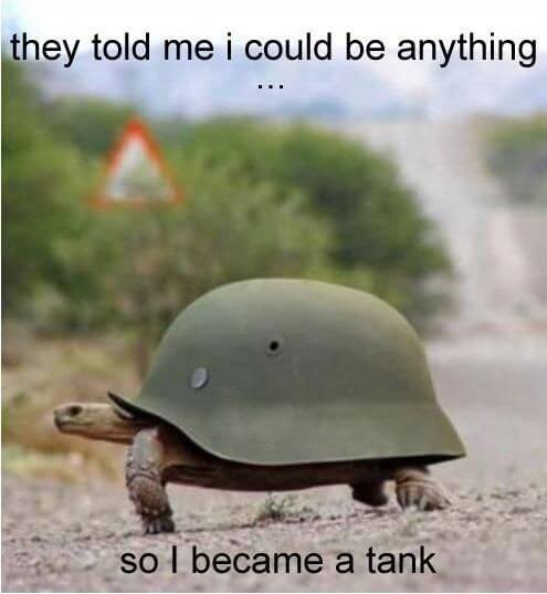 29 Hilarious Turtle Memes That Are So Funny Theyre Actually Dangerous 