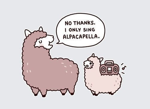 Alpaca Memes 1 (1)