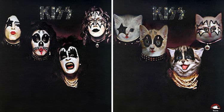 ablum covers replaced with kittens 10 (1)