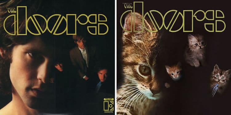 ablum covers replaced with kittens 16 (1)