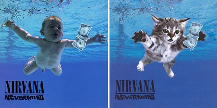 ablum covers replaced with kittens 2 (1)