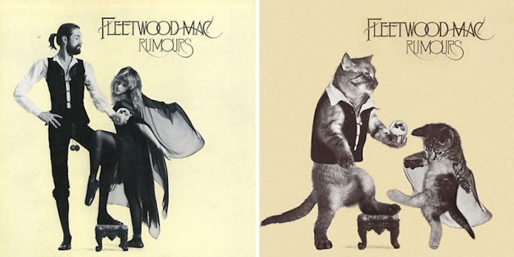 ablum covers replaced with kittens 21