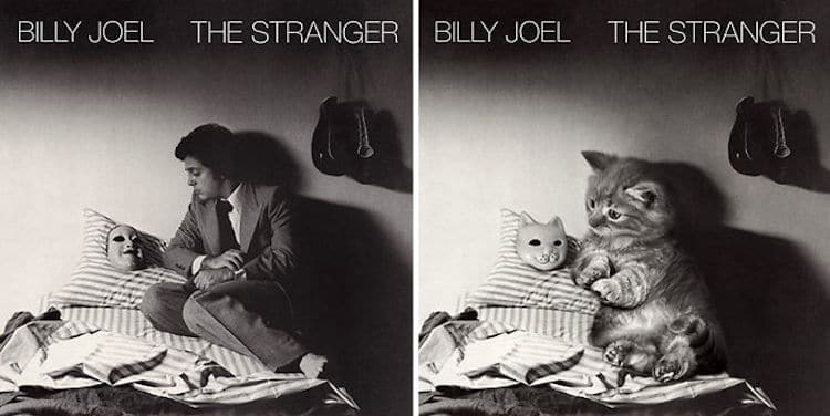 ablum covers replaced with kittens 4 (1)