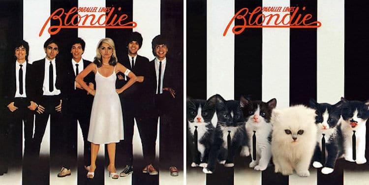 ablum covers replaced with kittens 6 (1)