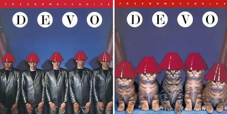 ablum covers replaced with kittens 7 (1)