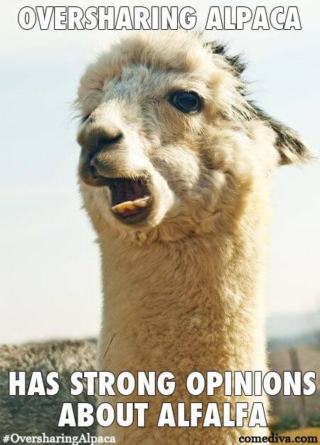 alpaca meme list 25 (1)