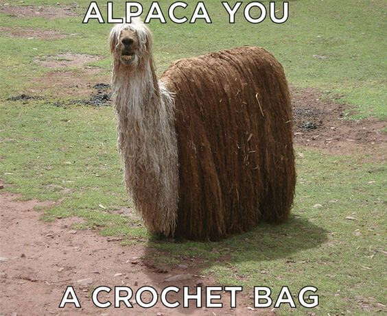 alpaca meme list 26 (1)